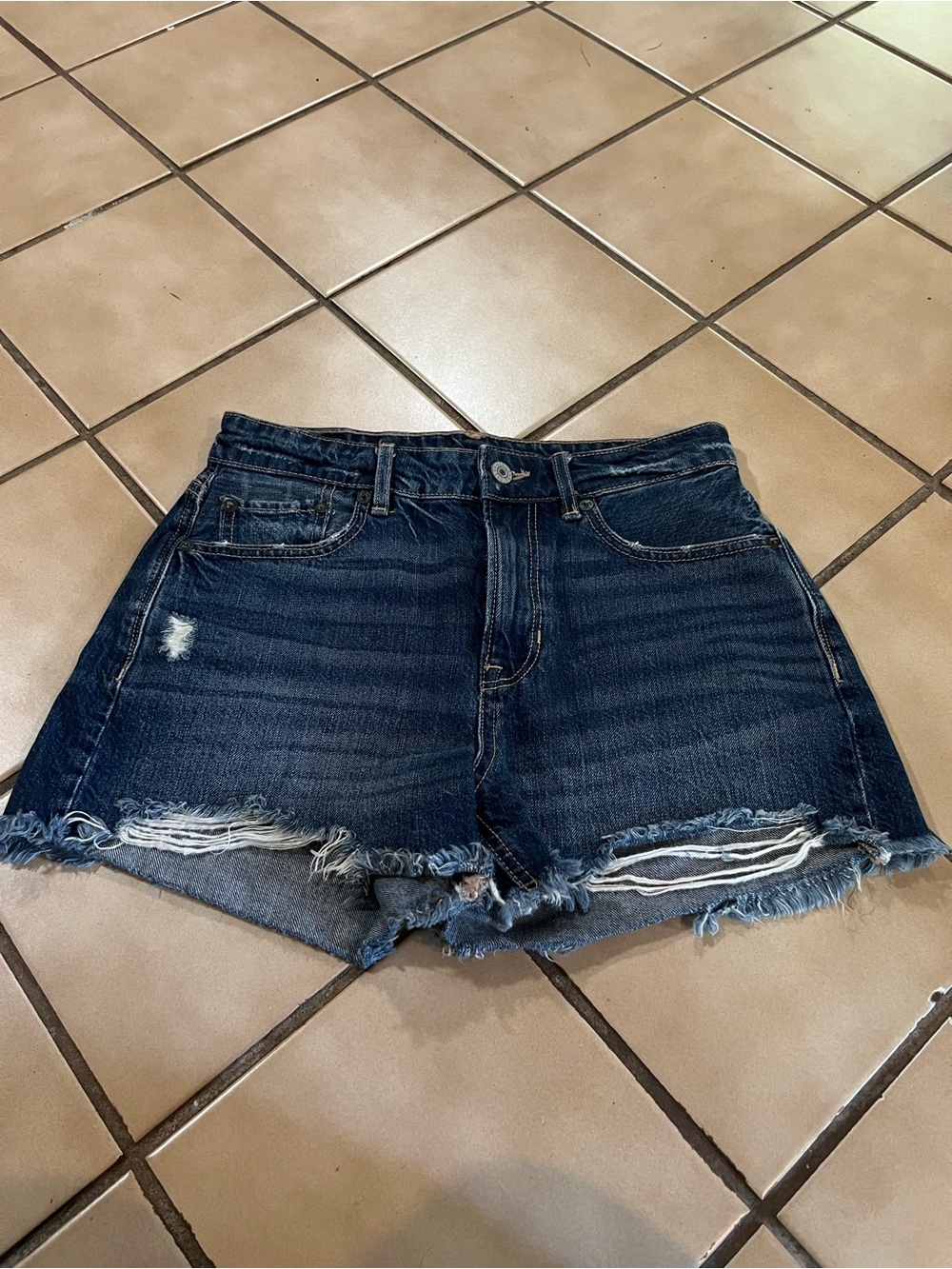 American Eagle Outfitters Dark Indigo Distressed Denim Shorts